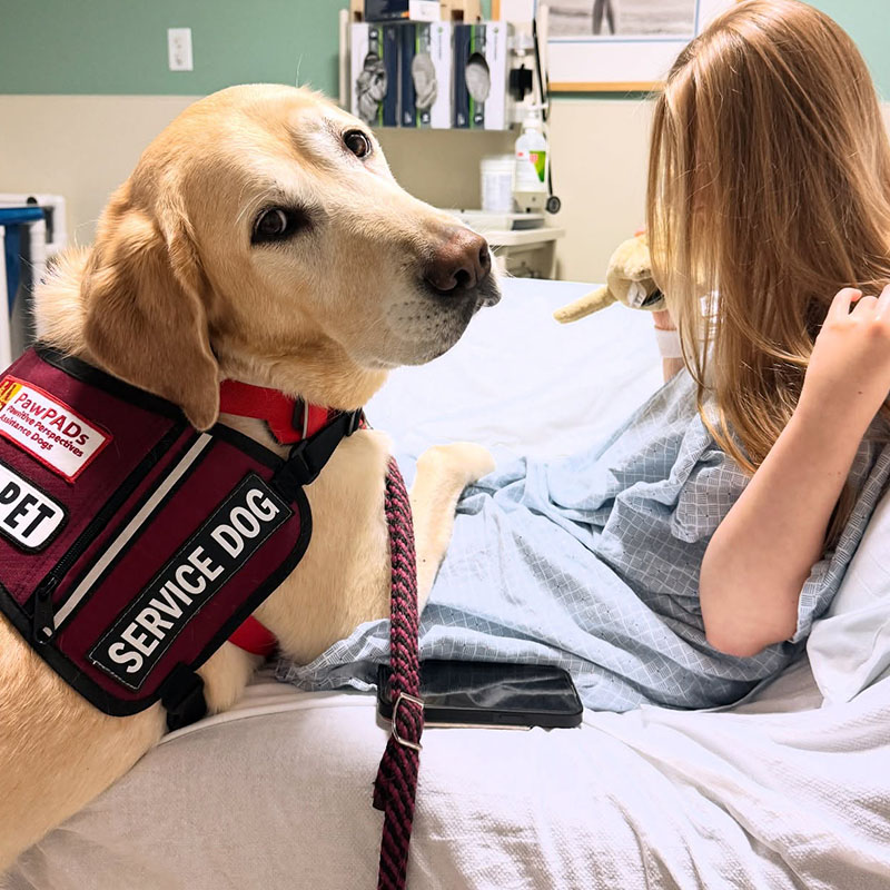 Pawsitive Assistance Dogs Story 2